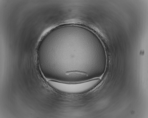 X0000096971358200802291111