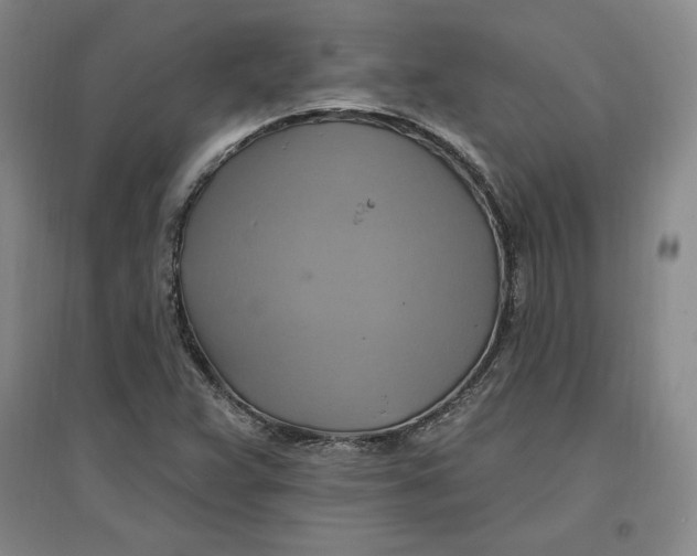 X0000096971359200802291111