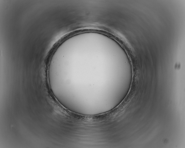 X0000096971360200802291111