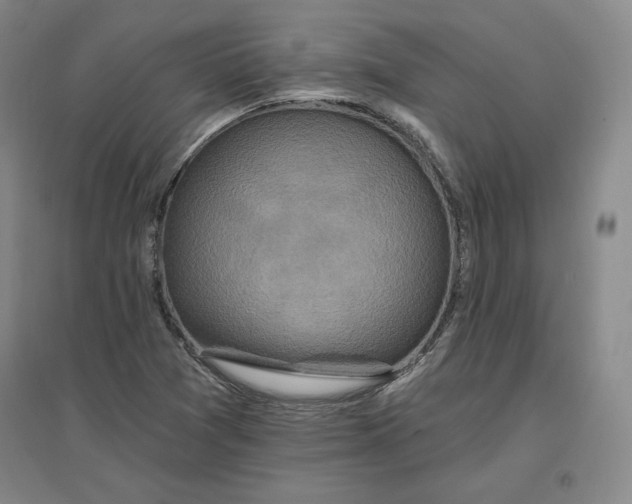 X0000096971361200802291111