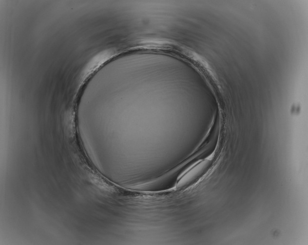 X0000096971362200802291111