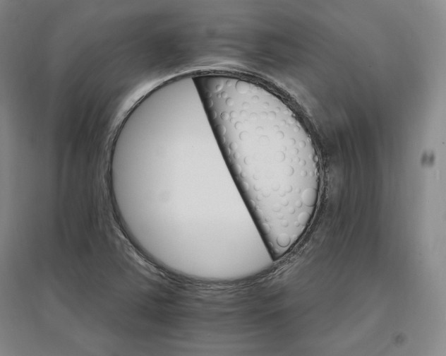 X0000096971363200802291111