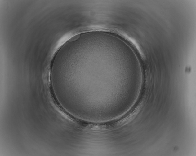 X0000096971365200802291111