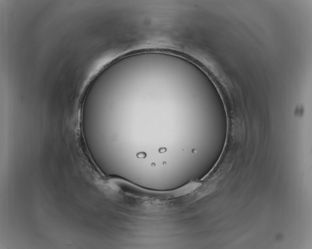 X0000096971366200802291111