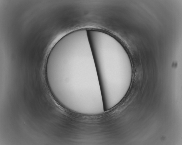 X0000096971367200802291111