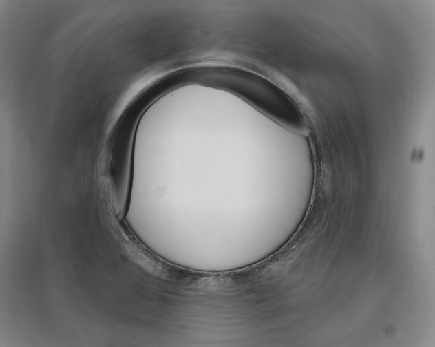 X0000096971368200802291111