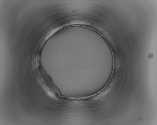 X0000096971369200802291111