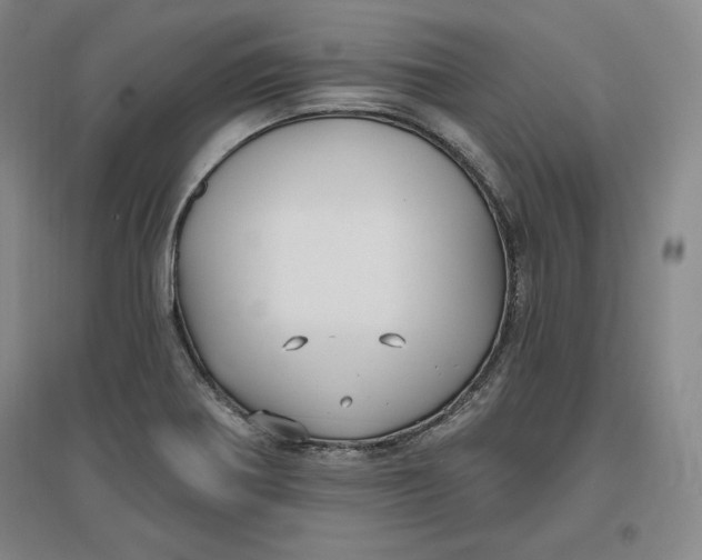 X0000096971370200802291111