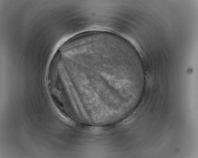 X0000096971371200802291111