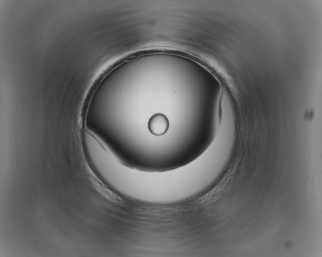 X0000096971372200802291111