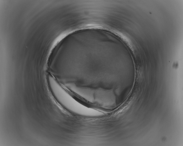 X0000096971373200802291111