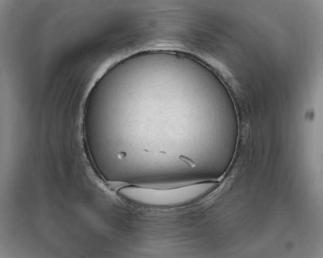 X0000096971374200802291111