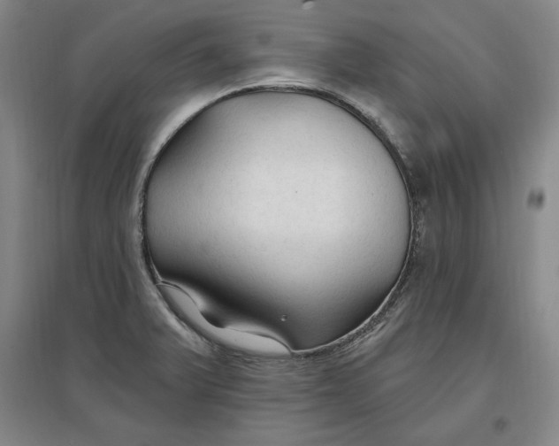 X0000096971375200802291111