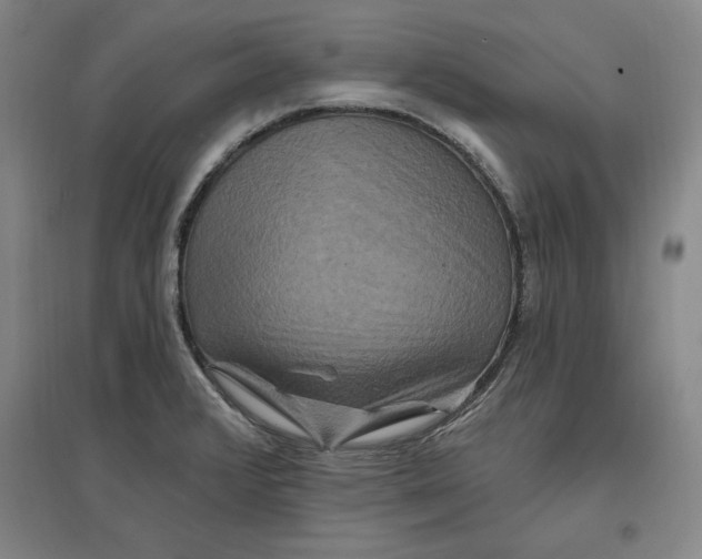 X0000096971376200802291111