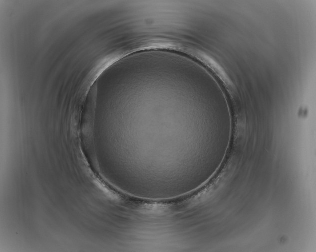 X0000096971377200802291111