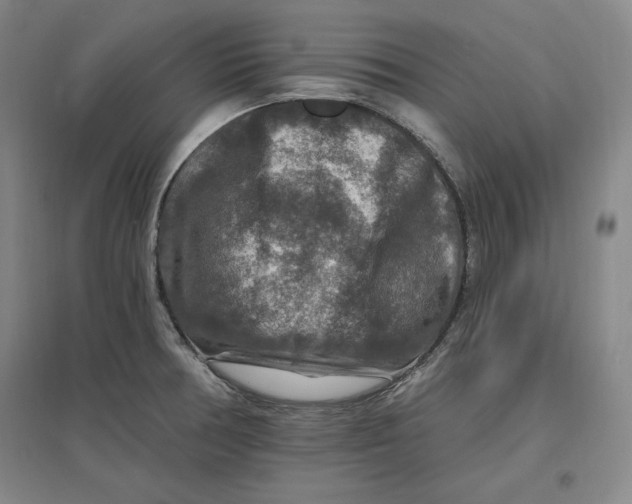 X0000096971378200802291111