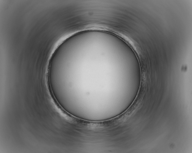 X0000096971379200802291111