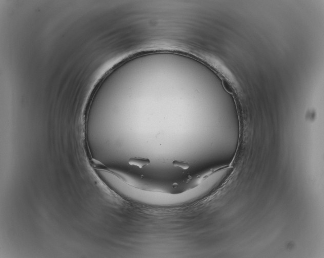 X0000096971380200802291111