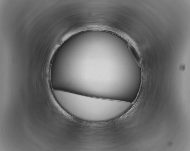 X0000096971381200802291111