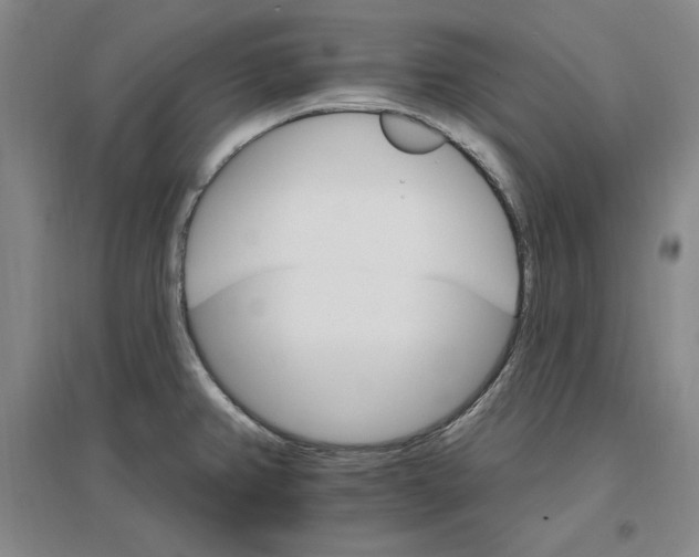 X0000096971382200802291111