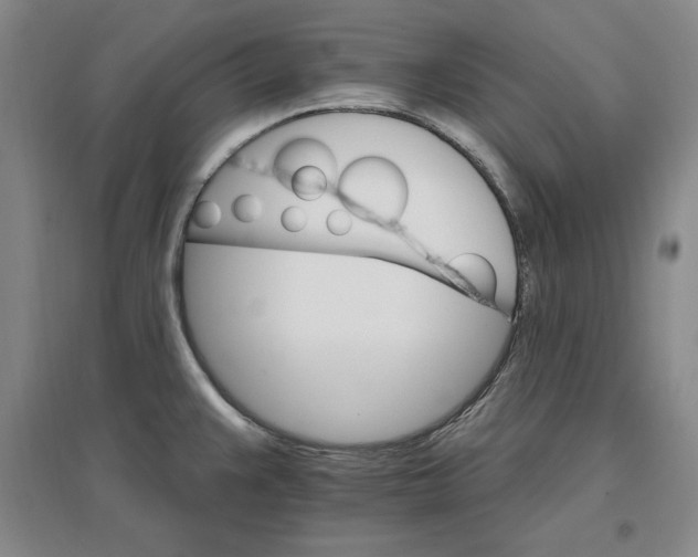 X0000096971383200802291111