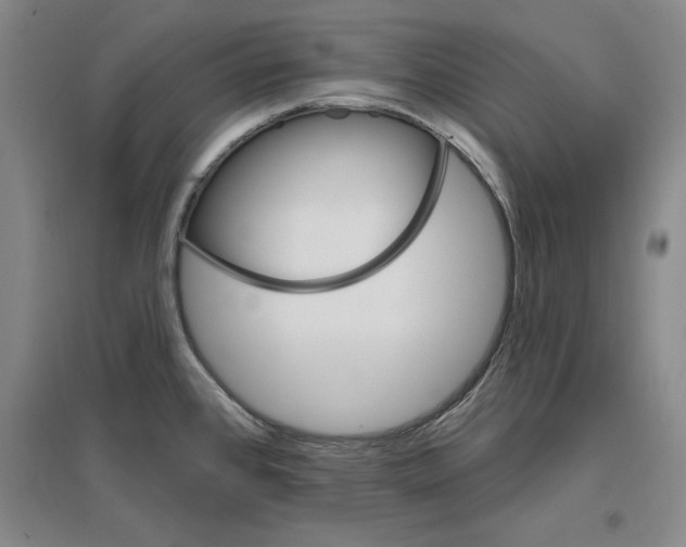 X0000096971384200802291111