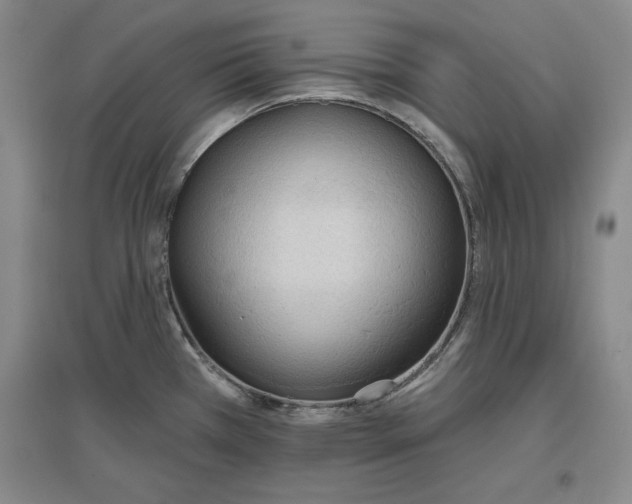 X0000096971385200802291111