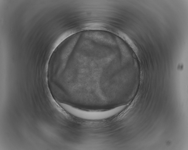 X0000096971386200802291111