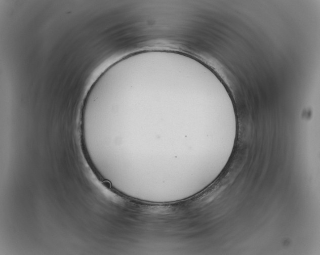 X0000096971387200802291111