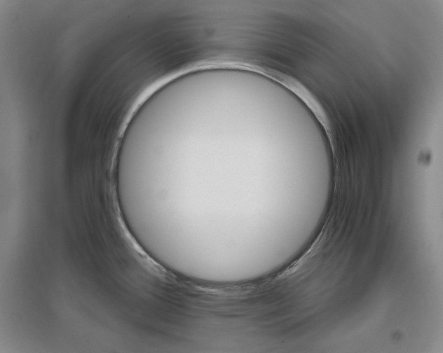 X0000096971388200802291111