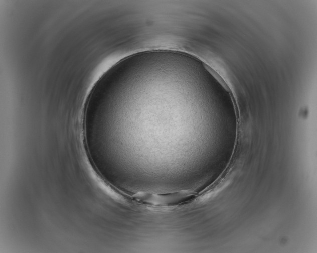 X0000096971389200802291111