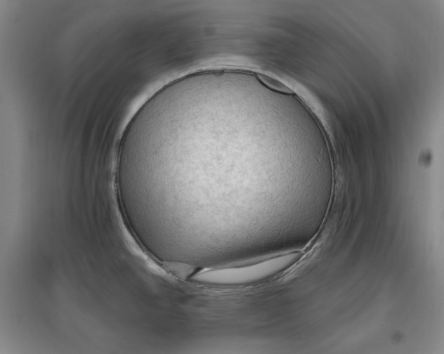 X0000096971390200802291111