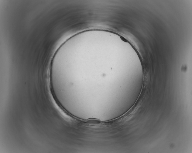 X0000096971391200802291111