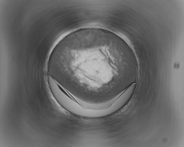 X0000096971392200802291111