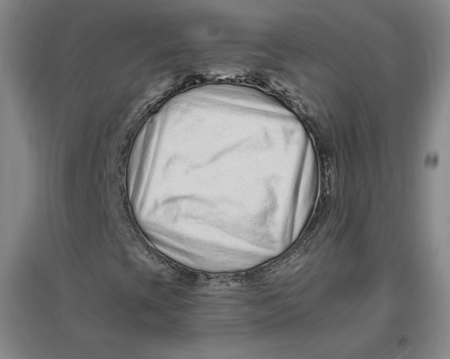 X0000096971393200802291110