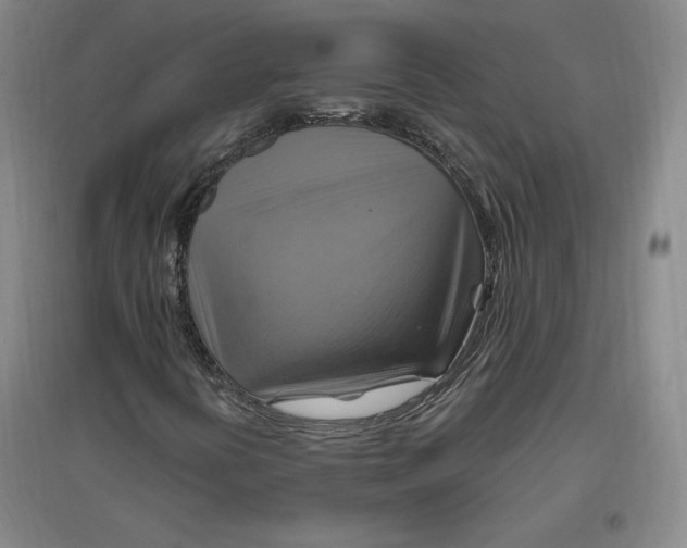 X0000096971394200802291110