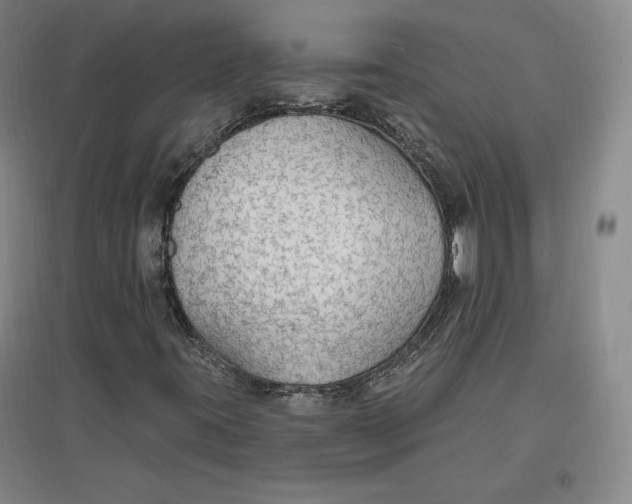 X0000096971395200802291110