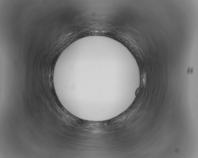 X0000096971396200802291110