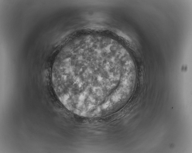 X0000096971397200802291110