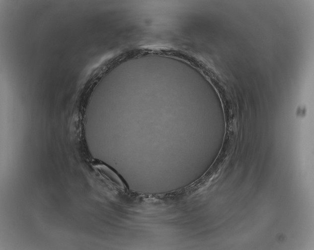 X0000096971398200802291110