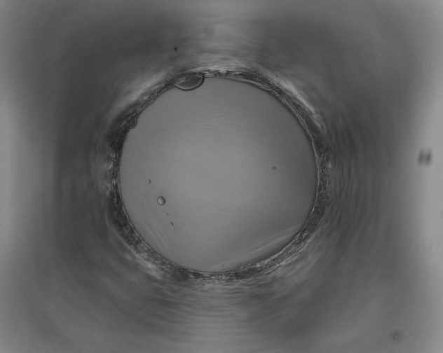 X0000096971399200802291110