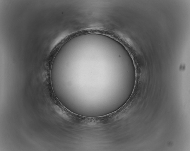 X0000096971400200802291110