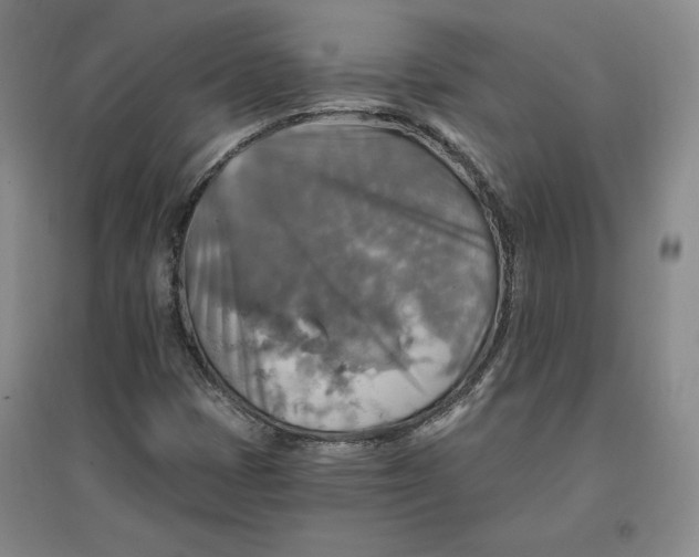 X0000096971401200802291110