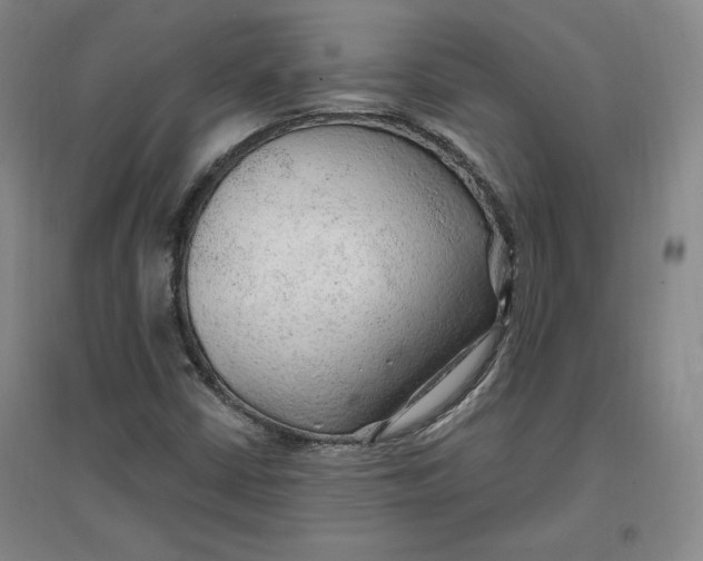 X0000096971402200802291110