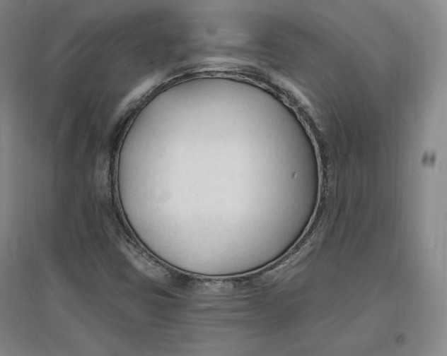 X0000096971403200802291110