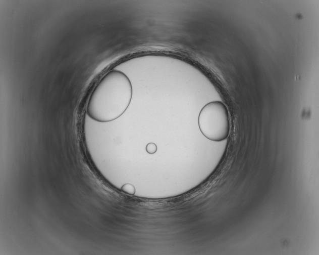 X0000096971404200802291110