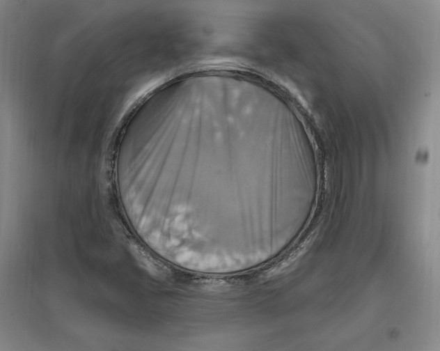 X0000096971405200802291110