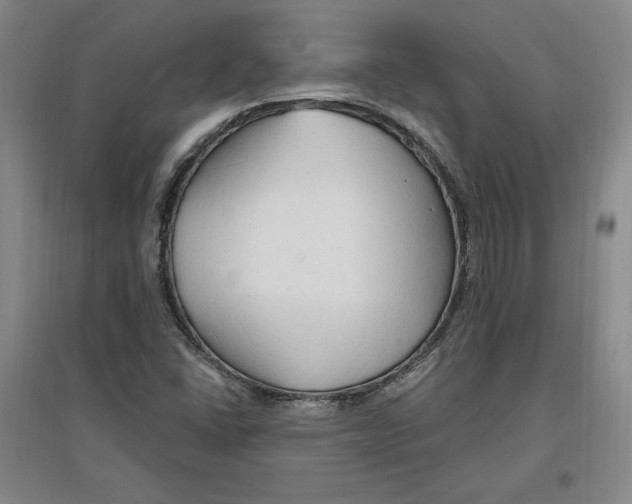 X0000096971406200802291110