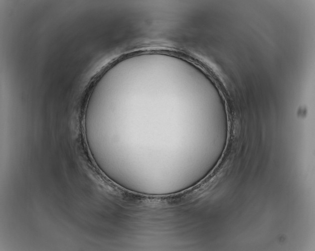 X0000096971407200802291110