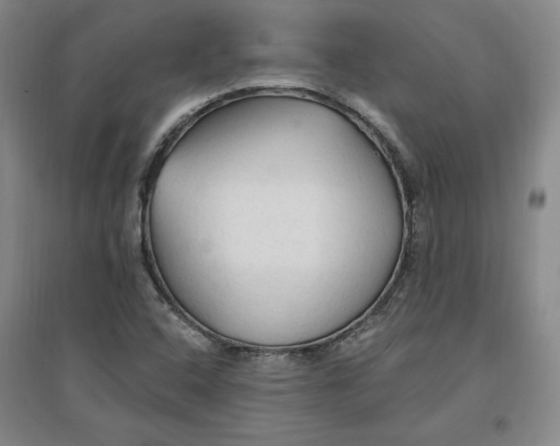 X0000096971408200802291110